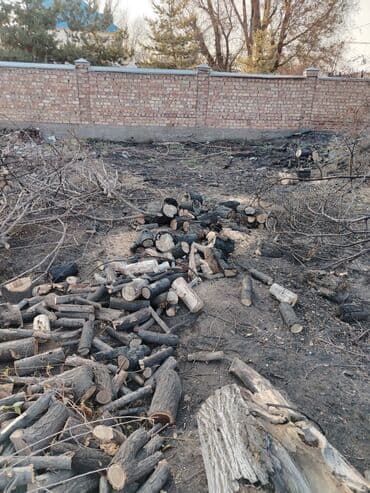 купить дрова в мешках: Дрова — 10