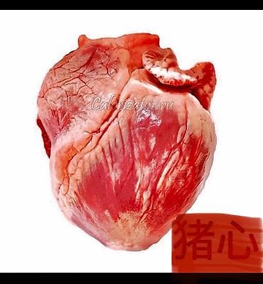 аквариум балыктары: Мясо свинины 
Всегда в наличии! — 7