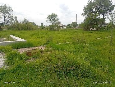 участок село восток: 4 соток, Для строительства, Красная книга — 3