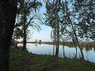 швейный цех бишкек: 80 соток Для бизнеса, Электричество, Водопровод, Канализация — 7