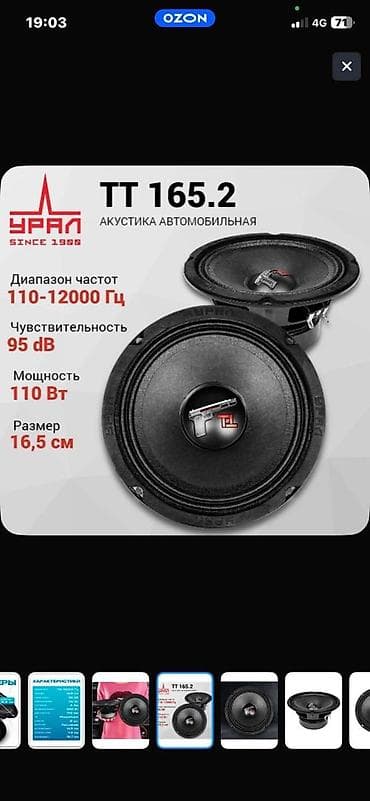 Техника жана электроника: Пара среднечастотных динамиков Урал TT 165 / TT 165.2 (16,5 см) — 3