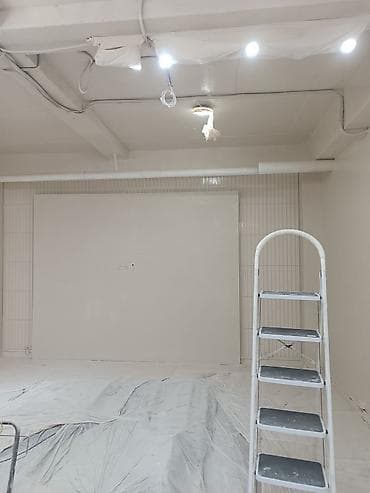 pro m1: Покраска стен, Покраска потолков, Покраска окон, На масляной основе, На водной основе, Больше 6 лет опыта — 10