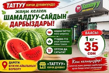 арбузов: Арбузы Оптом — 1