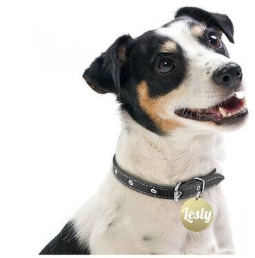 ящик для документов: Адресники большие с вашей надписью(имя, номер телефона) на ошейник — 1