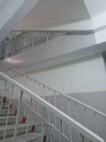 Лакокрасочные материалы: Больше 6 лет опыта — 5