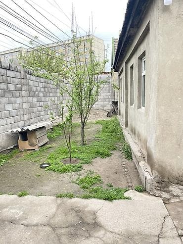 дома с большим участком: Продаётся земельный участок с жилым домом и хозяйственными постройками — 3