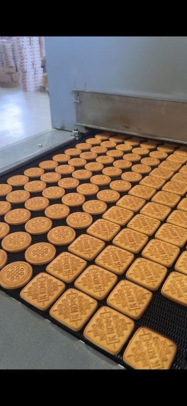 Өндүрүш үчүн жабдуулар: Туннельная печь для выпечки печенья/кондитерских изделий Описание: - — 9