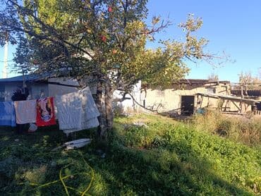 дом с беш кунгей: Дом, 50 м², 3 комнаты, Собственник, Косметический ремонт — 5