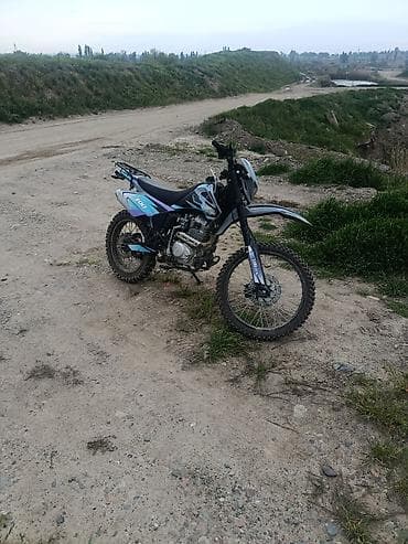 mini cooper: Эндуро 300 куб. см, Бензин, Взрослый, Б/у — 3