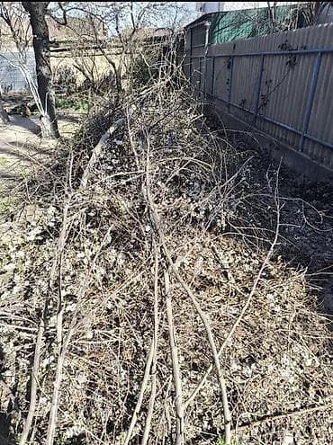 сухой: БЕСПЛАТНО ОТДАЮ ВЕТКИ доски . РАЙОН КОЖ ЗАВОДА . Сухие ветки и — 2