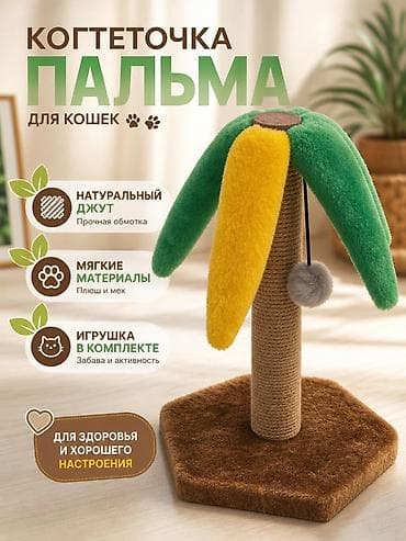 attack shark: Когтеточка «Пальма» для кошек - Декоративная форма в виде пальмы — 1