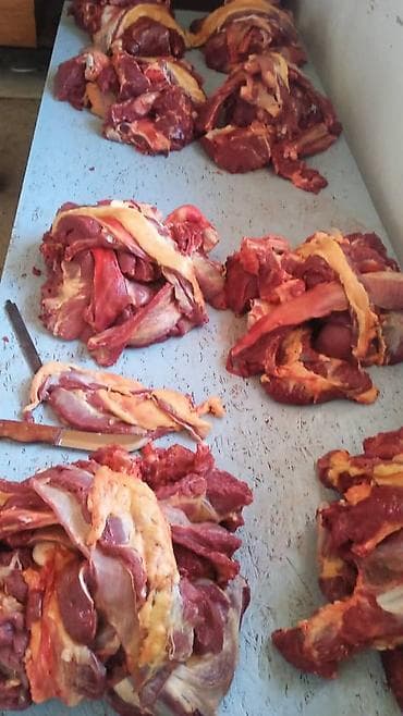 Конина : Ребра, Стейк