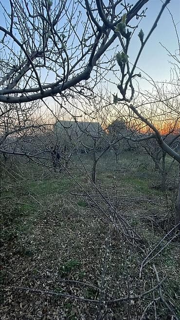 5 соток, Для сельского хозяйства, Красная книга, Тех паспорт, Договор купли-продажи