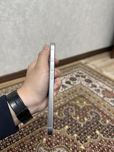 iphone 5g: IPhone 16 Pro Max, White Titanium, 95 % — 5