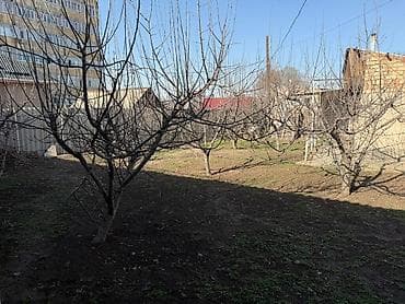 дом в районе аламединского рынка: Продаётся жилой дом с доп. строениями в районе Аламединского рынка — 10