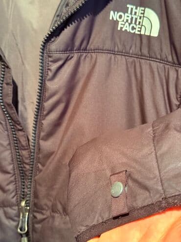 navy: Брюки Lacoste, тёмно‑синие (navy). - Материал: 100% хлопок (ярлык на — 8