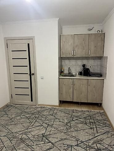 Батирлер: 1 бөлмө, 18 м², Малосемейка, 1 кабат, Косметикалык ремонт — 4