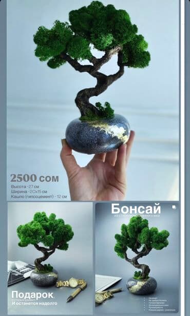 искусственные растения бишкек: Бонсай ручной работы из натурального стабилизированного мха от 1500 — 22