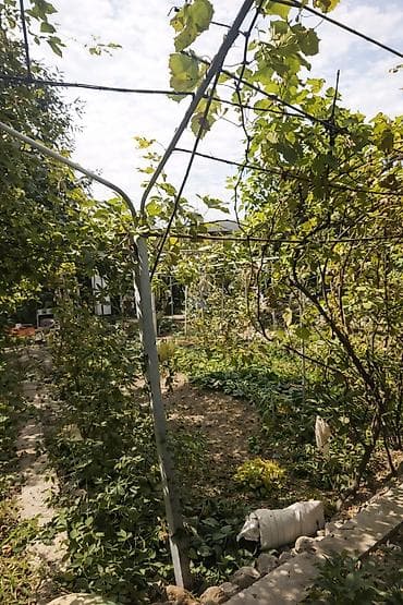 продаю новопавловка: 5 соток — 1