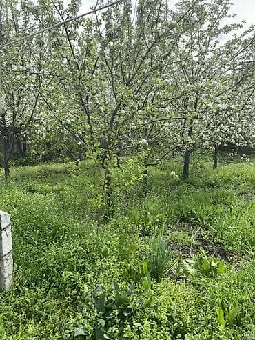 бекер уй: Продается дом в селе Бектоо ( совхоз Ала тоо) 10 минут езды от — 10