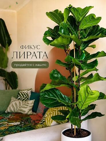 уход за цветами: Набор аксессуаров для комнатных растений by djiva - Полотенце для — 7