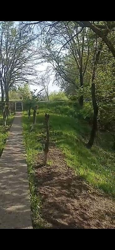 продаю катедж: Кара балтада сосновский повороттон 6 км жакындыкта жайгашкан — 5