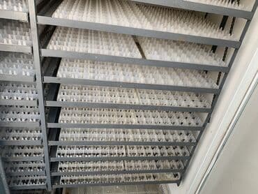 продам бу оборудование для птицефабрики: Инкубатор на 5000тыс яиц 
В идеальном состоянии 10 из 10 — 2