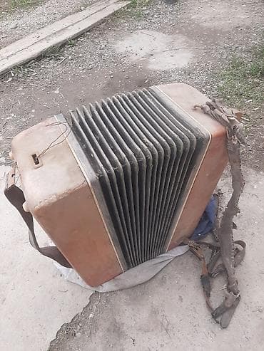 Аңчылык жана балык уулоо: Баян (кнопочный аккордеон), старого образца. Характеристики по фото — 10