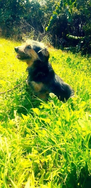 казакча той ырлары 2020 скачать: Чудесный мальчик Кузя ждёт своих мам и пап . Добрый активный мальчик — 4