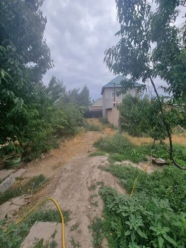 дом район кирпичный: Дом, 1300 м², 4 комнаты, Собственник, Старый ремонт — 18