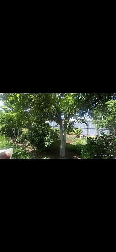 элиф гарден: Продаётся зелёный участок с домом и садом. - Дом одноэтажный — 4