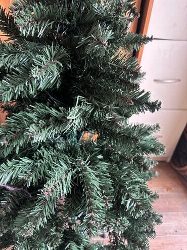 ель голубая цена: Продается ёлка 1,20 — 2