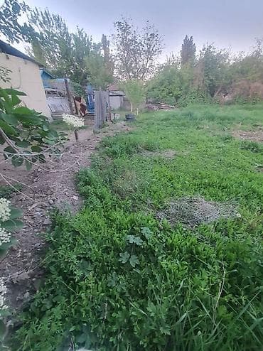 продаю дом бишкек ак босого: Продаётся дом в Шопокове с участком 10 соток.Гараж и баня, душ и — 3