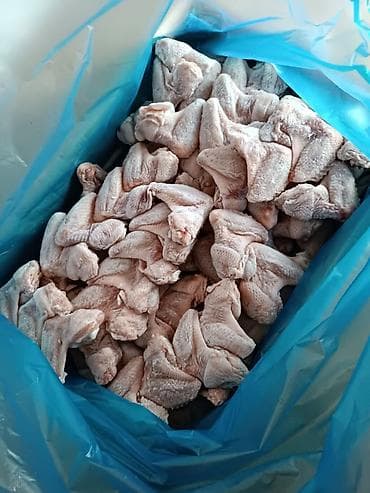 Мясо птицы: Окорочка 250 Филе. 340 Крылышки 320 Халал — 2