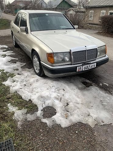 Mercedes-Benz W124: 1991 г., 2.3 л, Механика, Бензин, Седан