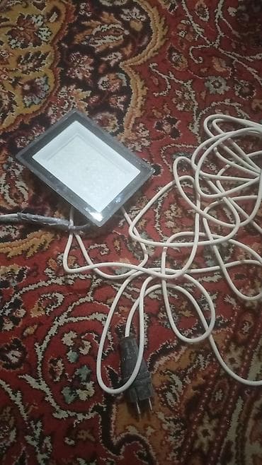 Светодиодный прожектор с сетевым шнуром - Тип: LED-прожектор, матрица