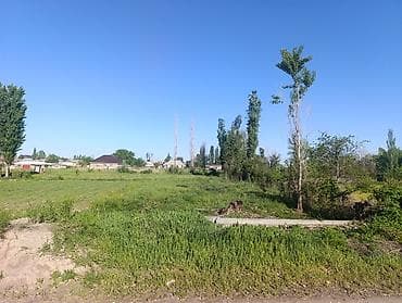 жумуш курулуш: 10 соток, Кызыл китеп — 6