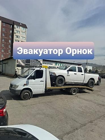 Эвакуатор Орнок
Эвакуатор Орнёк