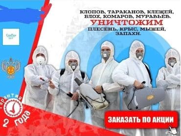 дезинфекция дома от клопов ош: Дезинфекция, дезинсекция, | Клопы, Блохи, Вирусы, микробы, | Квартиры, Дома, Кафе, магазины — 1