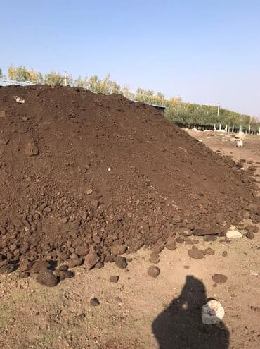 семена эспорсет: Перегной (кык) — 2