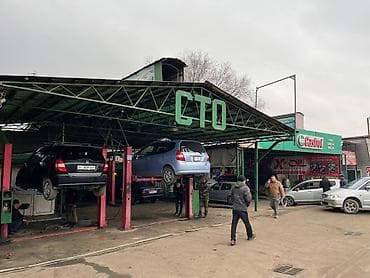 куда: Действующий, 53000 м² — 2