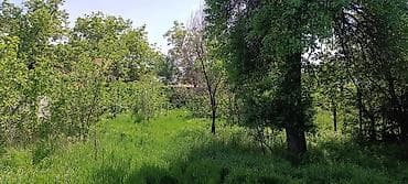 комсомольская: Продаю дом, участок 8 соток — 4
