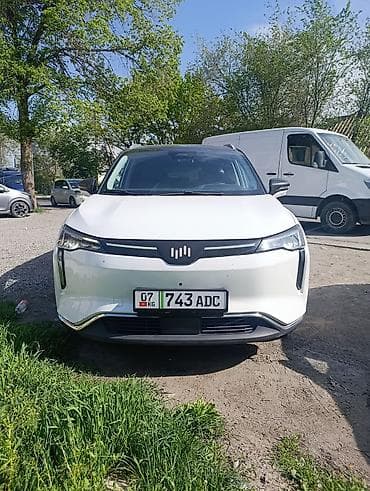 Weltmeister W6, 2022 г., 86000 км