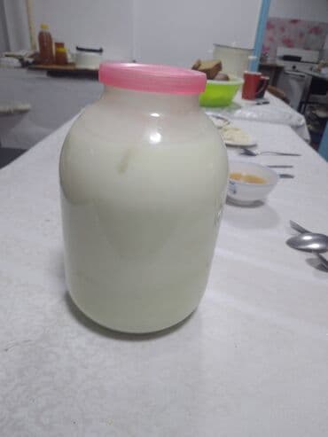 английский дог цена: Продаю | Коза (самка) | Зааненская | Для молока — 26