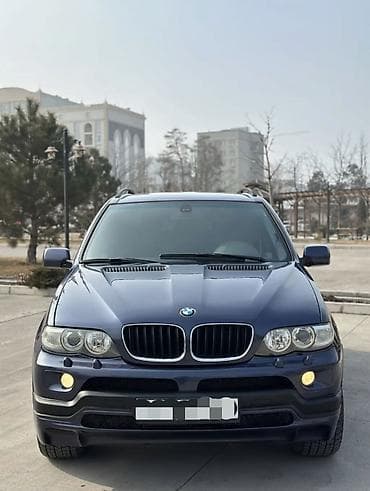 BMW X5: 2004 г., 3 л, Автомат, Дизель, Кроссовер