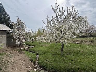 куплю баню: Продается Фазенда 52соток красная книга, ест все коммуникации свет 3х — 6