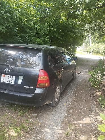 corolla runx: Toyota Corolla: 2003 г., 1.8 л, Автомат, Бензин, Универсал — 4