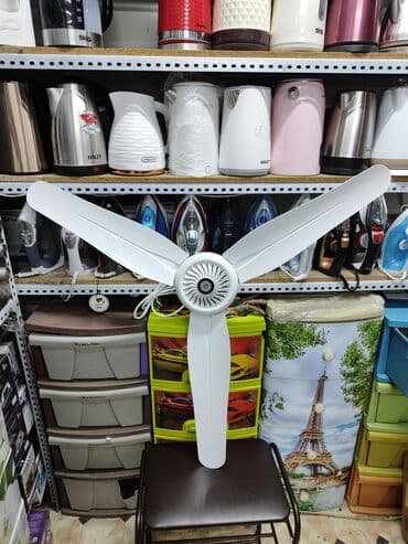 вентилятор осевой: Вентилятор Потолочный, Лопастной — 1