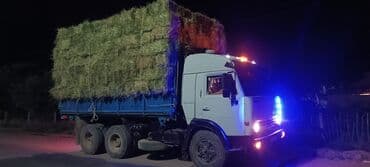 газ 53 кабина: Грузовик, Камаз, Дубль, 7 т, Б/у — 1