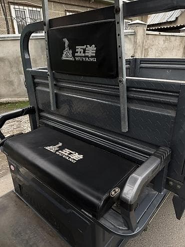 трёх колесный скутер: Мотороллер муравей Электро, 50 км, 1500 кг и более, Б/у — 3